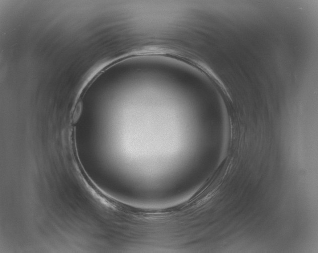 X0000060581484200511031322