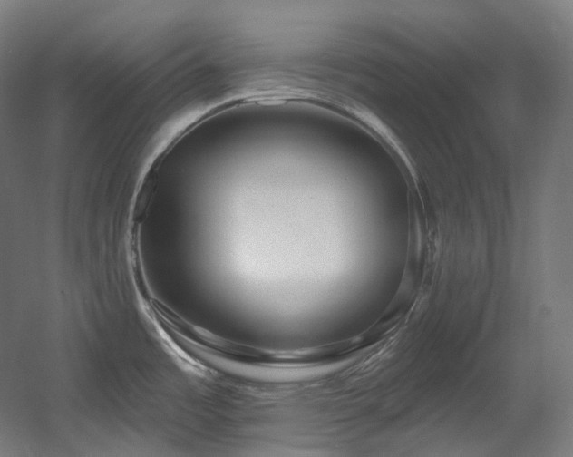 X0000060581485200511031322