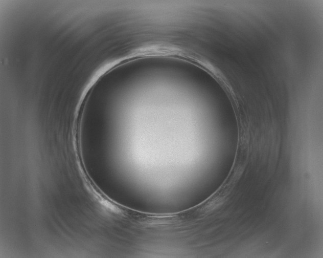 X0000060581486200511031322