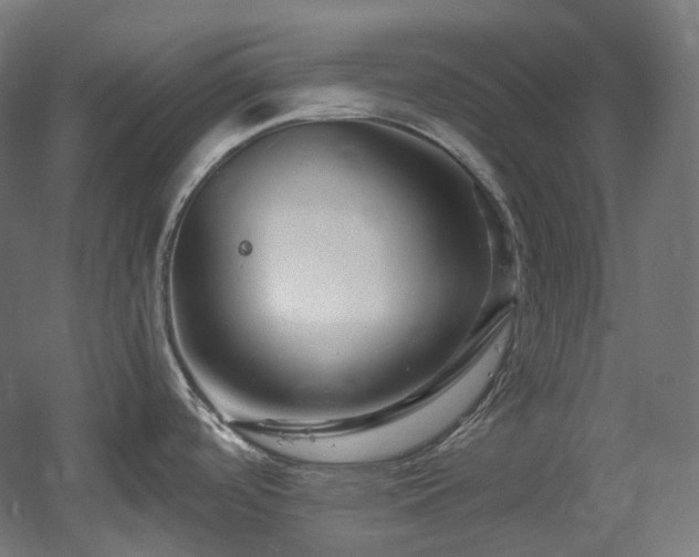 X0000060581488200511031322