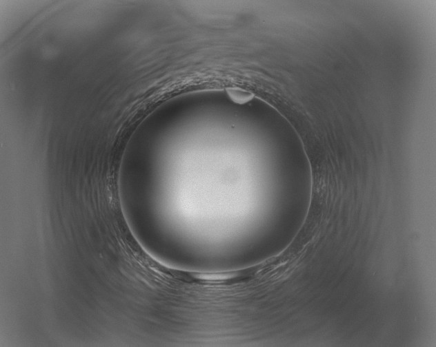 X0000060581490200511031322