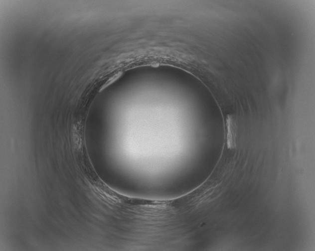 X0000060581491200511031322