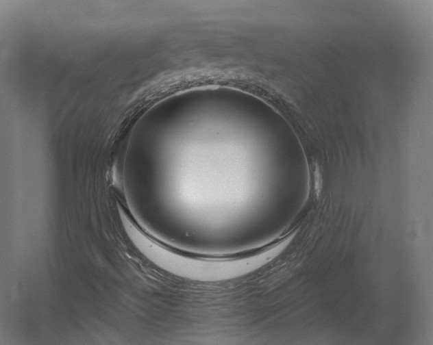 X0000060581492200511031322