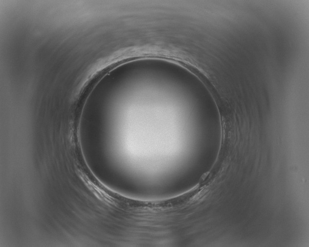 X0000060581499200511031322