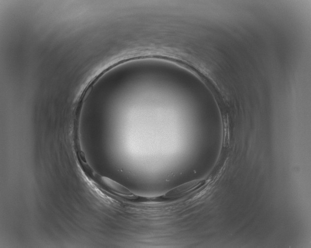X0000060581500200511031322