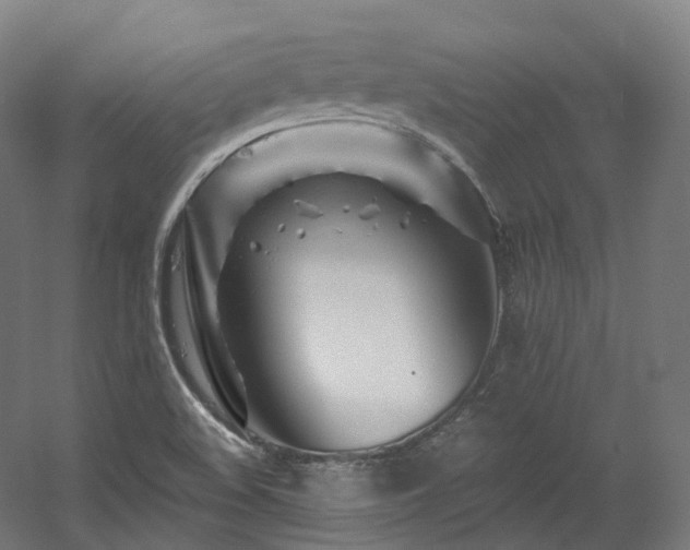 X0000060581508200511031322
