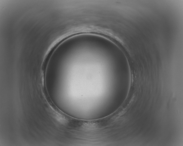 X0000060581509200511031322