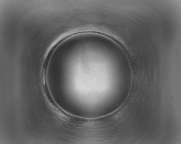X0000060581510200511031322