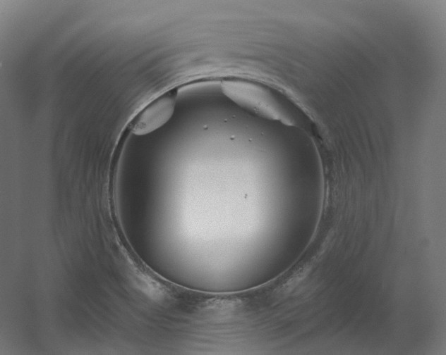 X0000060581513200511031322