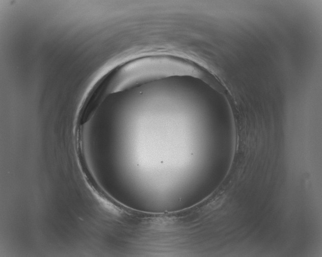 X0000060581519200511031322