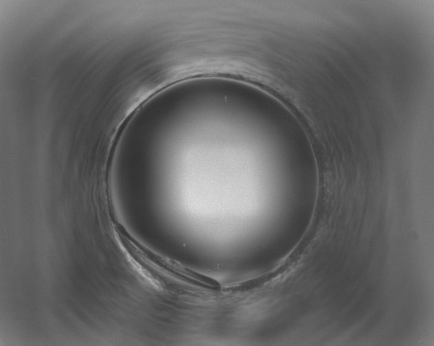 X0000060581521200511031322