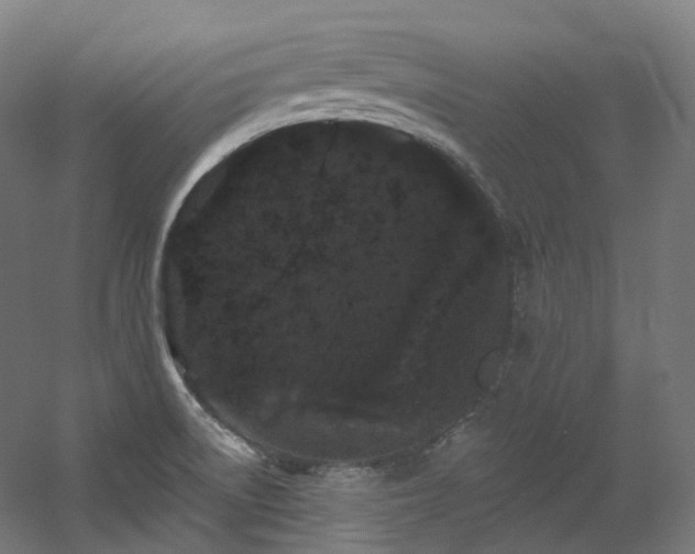 X0000060581522200511031322