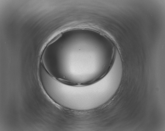 X0000060581528200511031322
