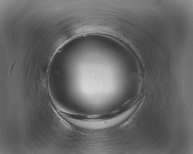 X0000060581529200511031322