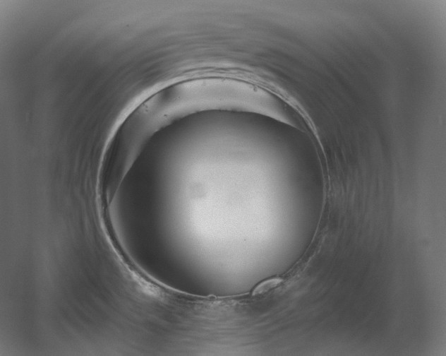X0000060581533200511031322