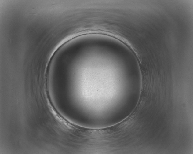 X0000060581534200511031322