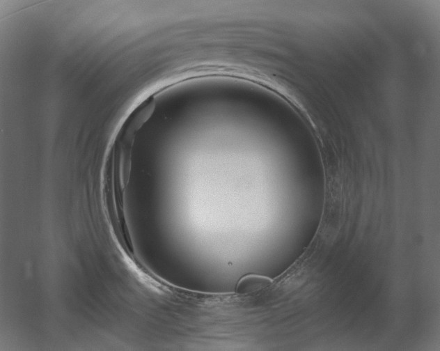 X0000060581535200511031322