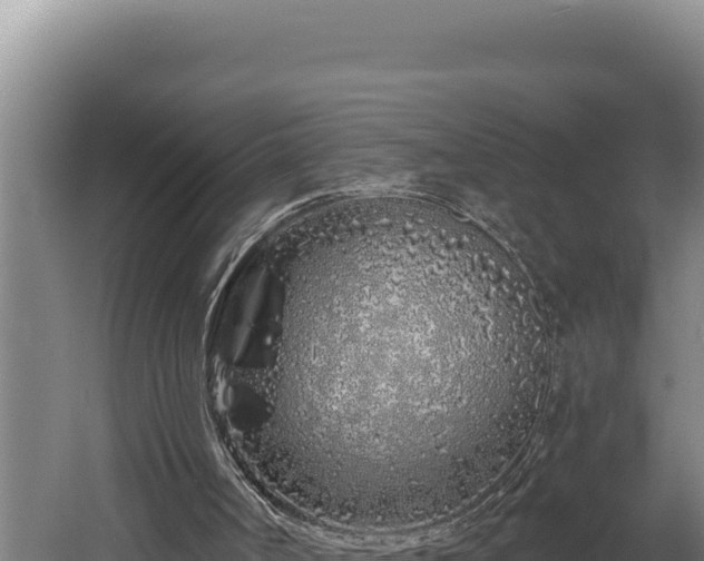 X0000060580002200511071057