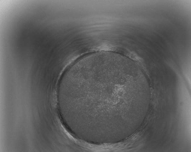 X0000060580012200511071057