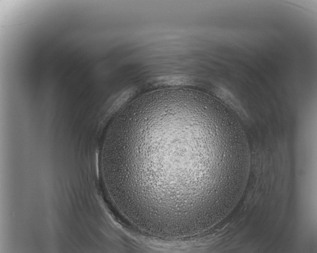 X0000060580014200511071057