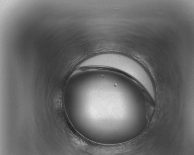 X0000060580017200511071057