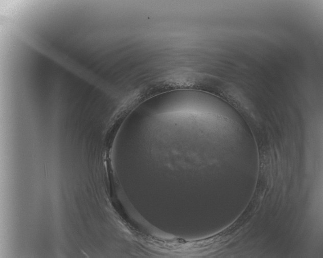 X0000060580023200511071057