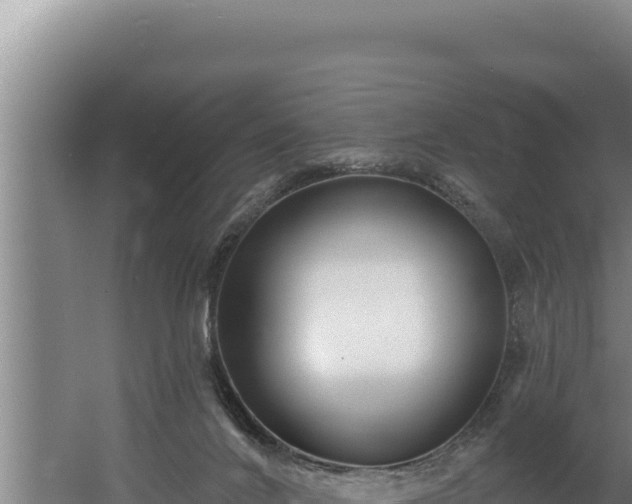 X0000060580024200511071057