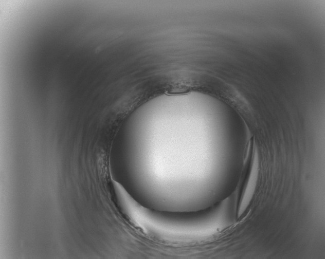 X0000060580029200511071057