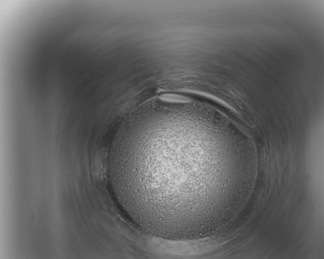 X0000060580030200511071057