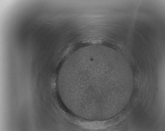 X0000060580032200511071057