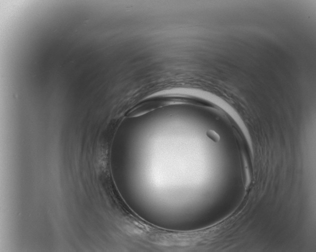 X0000060580033200511071057