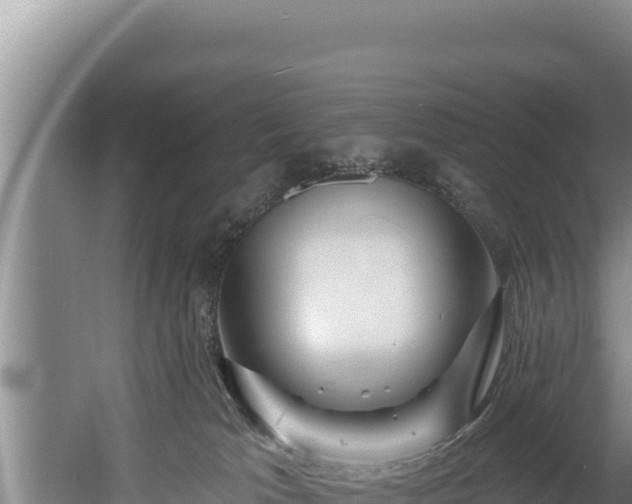 X0000060580037200511071057