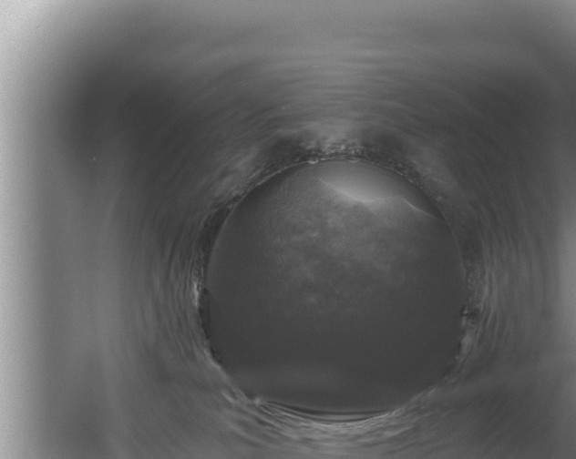 X0000060580039200511071057