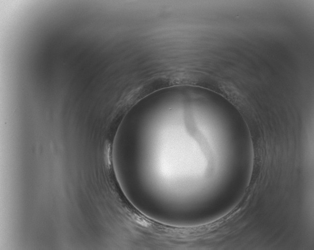 X0000060580041200511071057