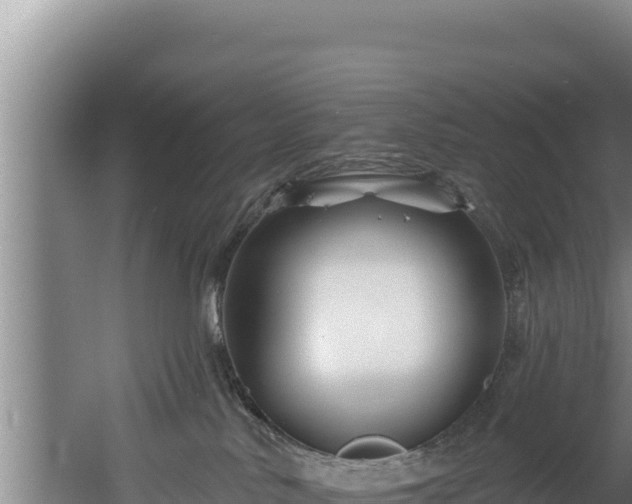 X0000060580042200511071057