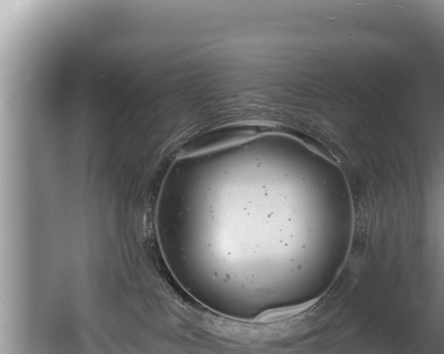 X0000060580043200511071057