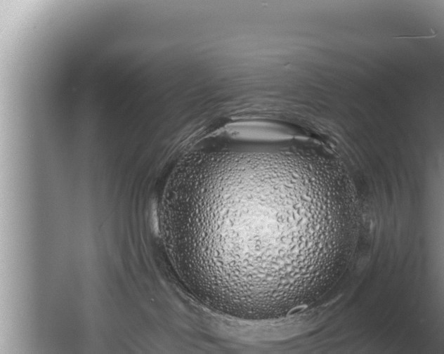 X0000060580046200511071057