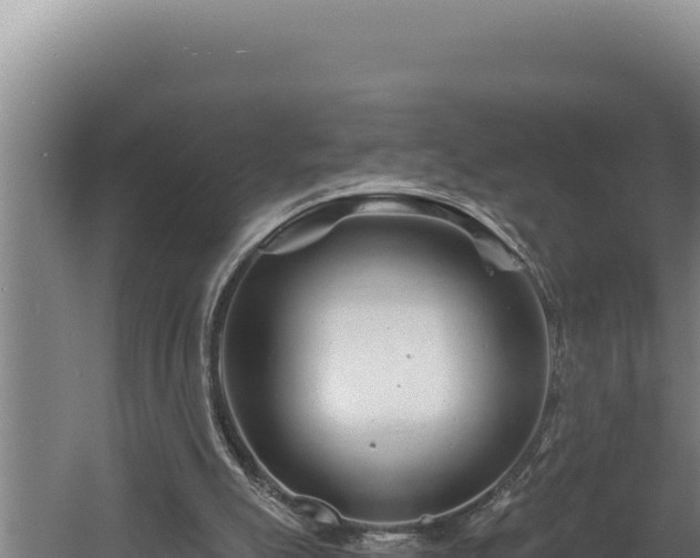 X0000060580055200511071056