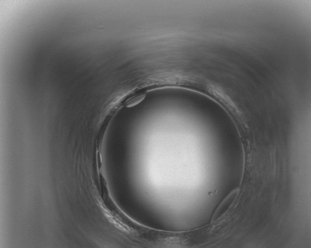 X0000060580058200511071056