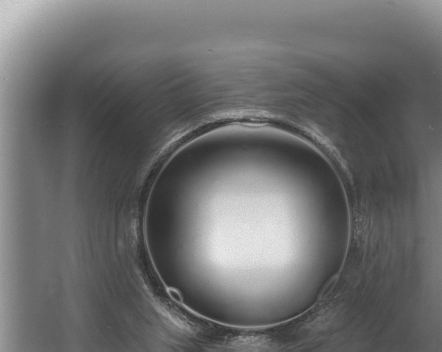 X0000060580063200511071056