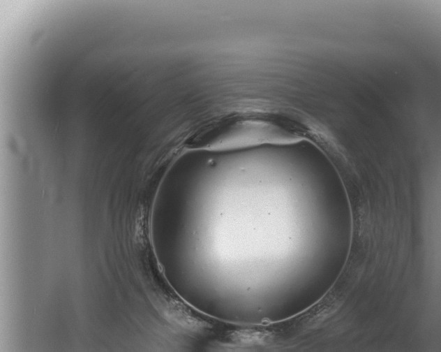 X0000060580073200511071056