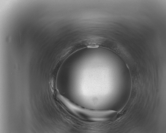 X0000060580076200511071056