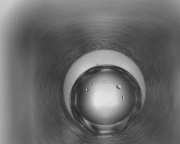 X0000060580080200511071056