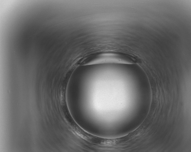 X0000060580084200511071056