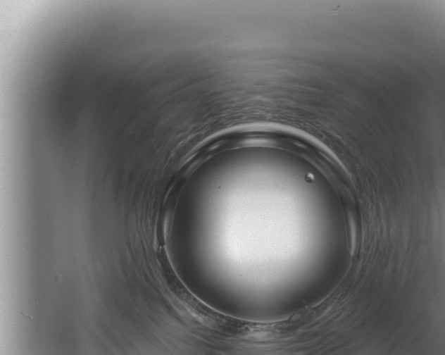 X0000060580088200511071057