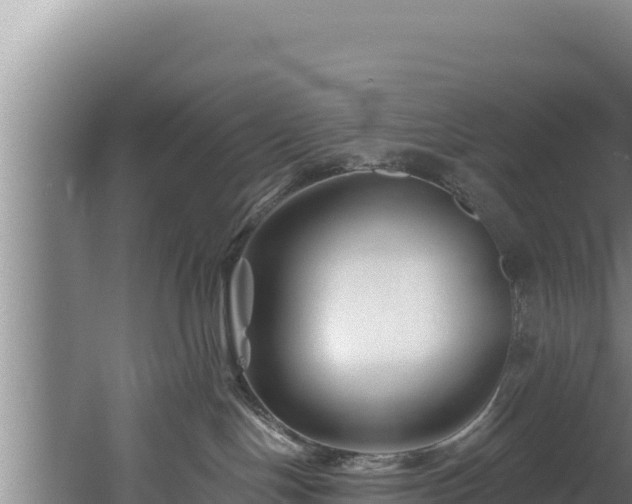 X0000060580094200511071057