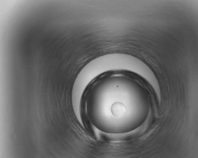 X0000060580096200511071057