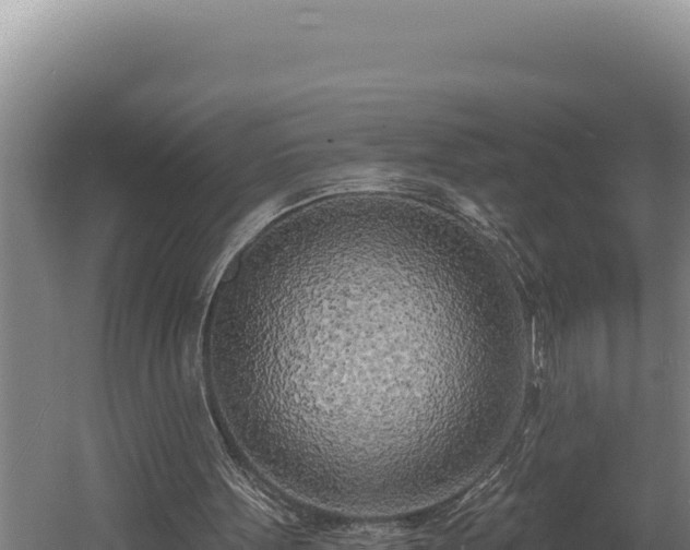 X0000060580099200511071056