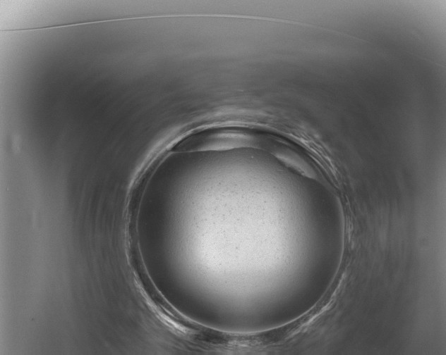 X0000060580101200511071056