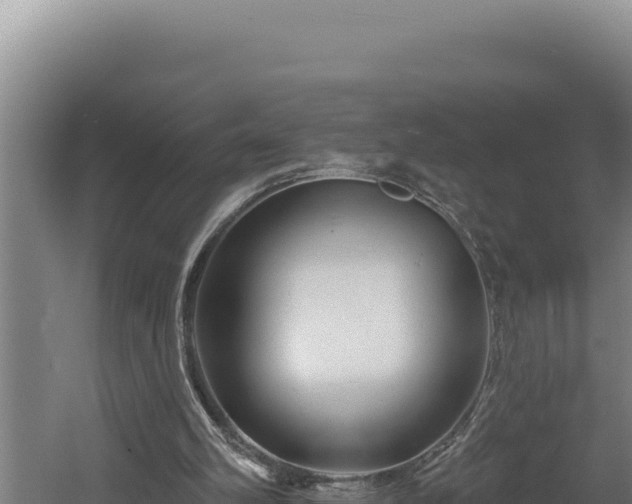 X0000060580102200511071056